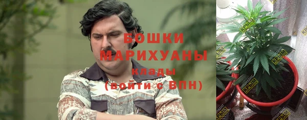 трава Горнозаводск