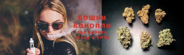 трава Горнозаводск