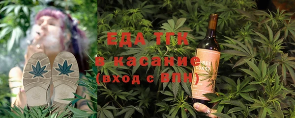 индика Семилуки